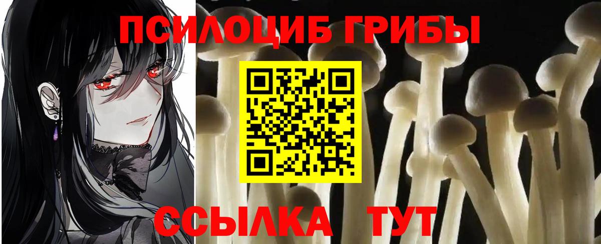 Псилоцибиновые грибы Psilocybe  Вход с VPN  закладка  Сосновый Бор  Галлюциногенные грибы мухоморы 